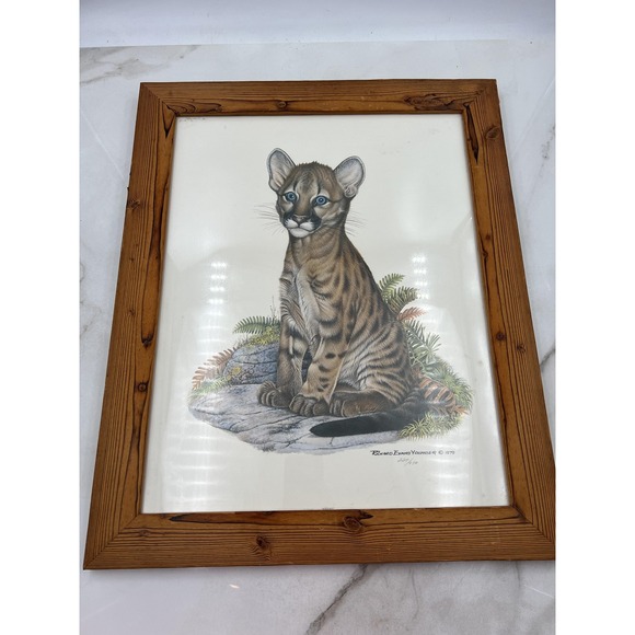 Vintage Richard Evans Younger Cougar Cub Art Print Framed Signed 1979 Limited Ed